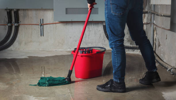 Best Flood restoration services  in Olivet, MI